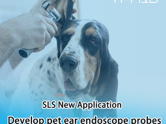 New Application| SLS 3D Printing to develop Pet Ear Endoscope Probes